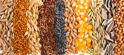 Зерновые посыпки